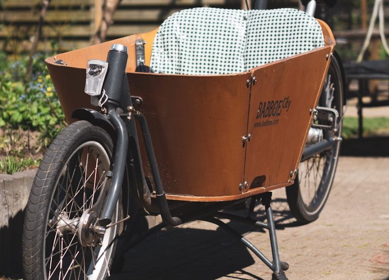 vélo cargo